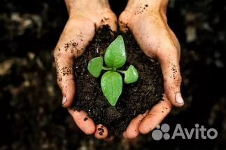 Доставка Земля, песок,дрова,щебень Сиверский