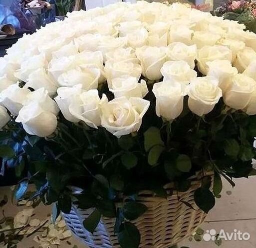 Розы Цветы Букеты 25 151 201 101 301 501 опт