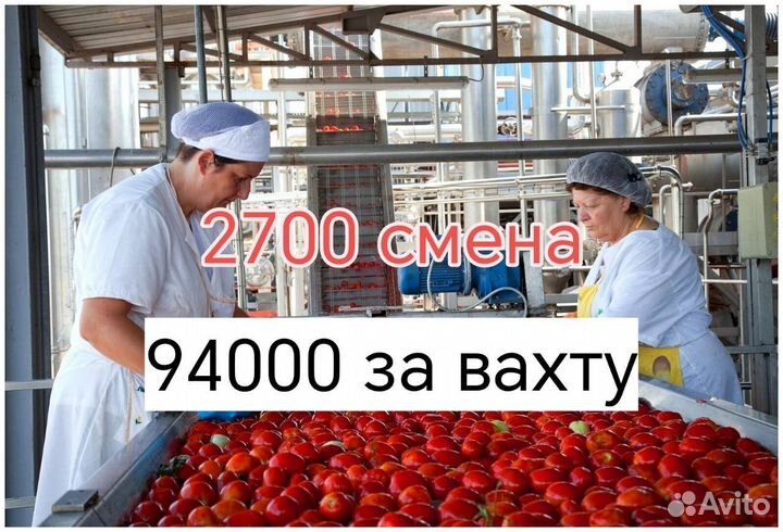 Вахта упаковщик овощей /проживание и обед