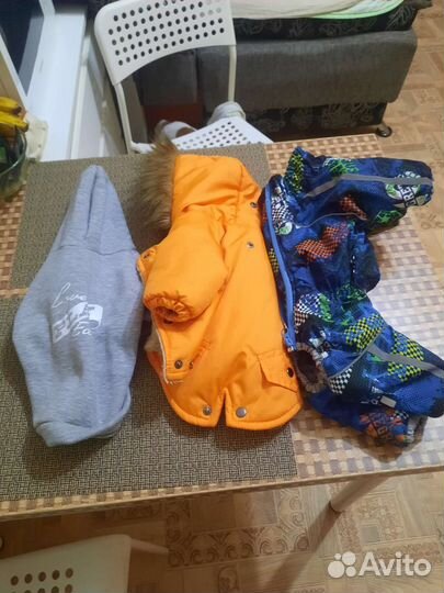 Одежда для собак