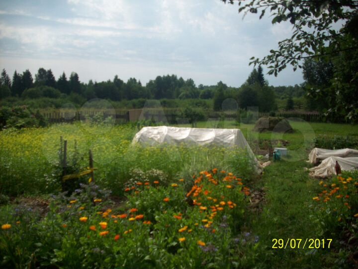 Дом 65 м² на участке 30 сот.