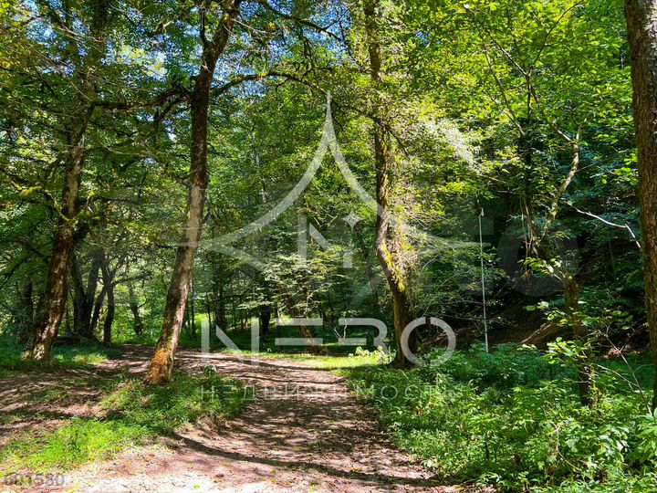 Участок 33 сот. (ИЖС)