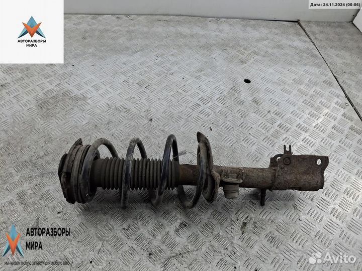 Стойка передняя Renault Koleos 2008