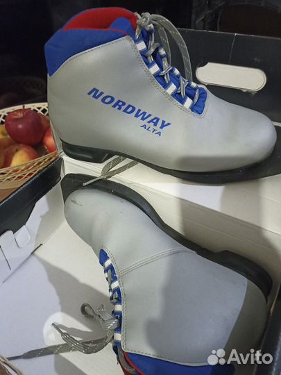 Лыжные ботинки