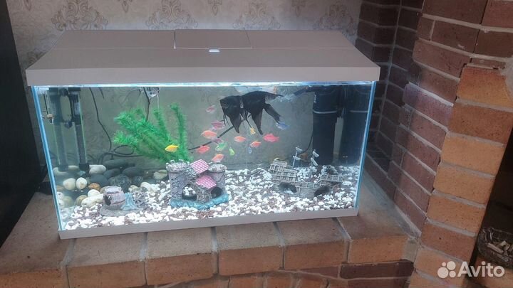 Аквариум (100литров)