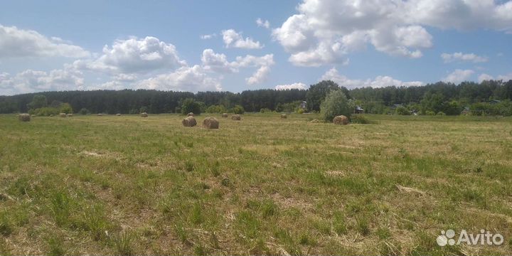 Сено в рулонах