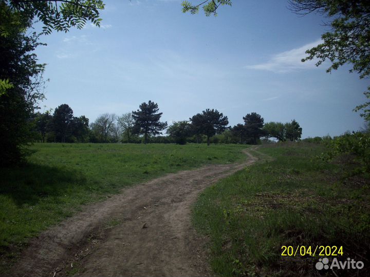 Цифровые фотоаппараты мыльницы y2k винтаж