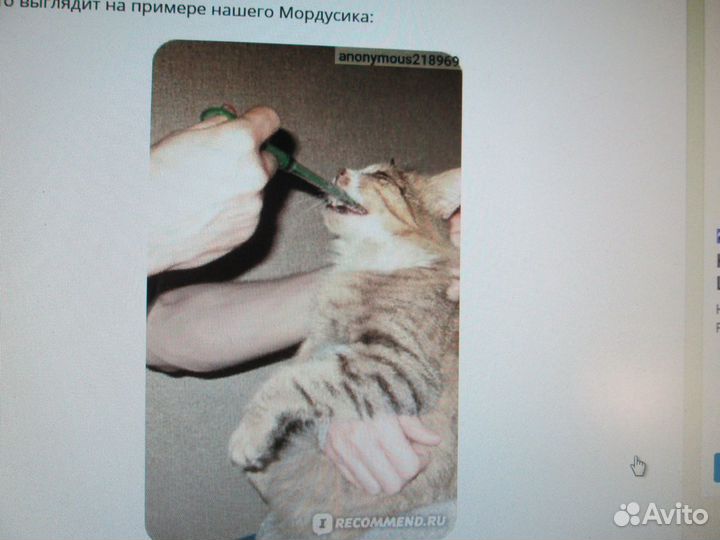 Таблеткодаватель