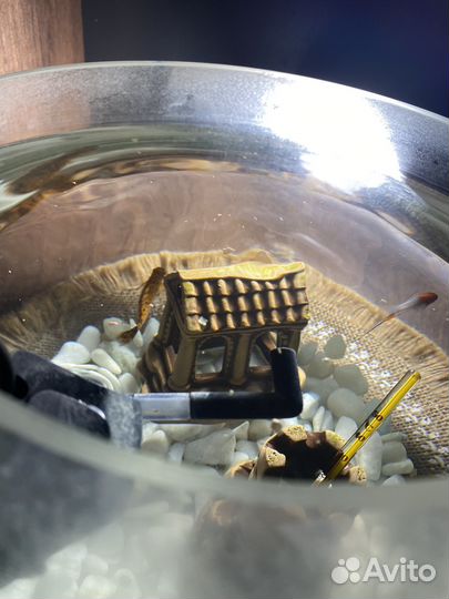 Аквариум круглый