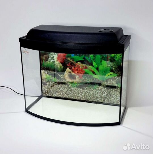 Аквариум сферический 55 литров с крышкой