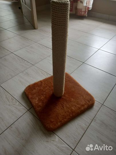 Когтеточка