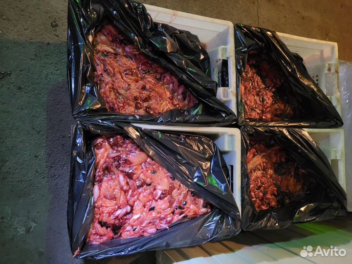 Корма для животных