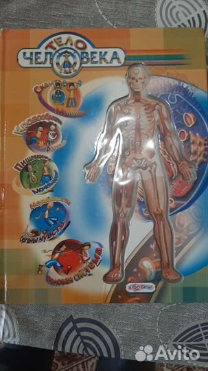 Тело человека книга