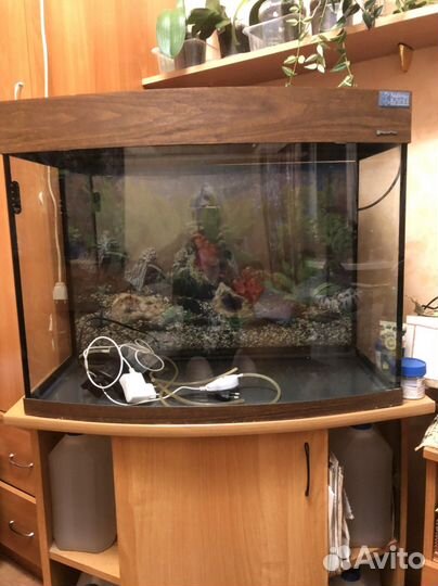 Аквариум + стол лофт под него