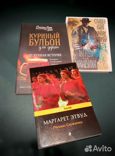 Куриный бульон для души, Рассказ служанки, Кинг