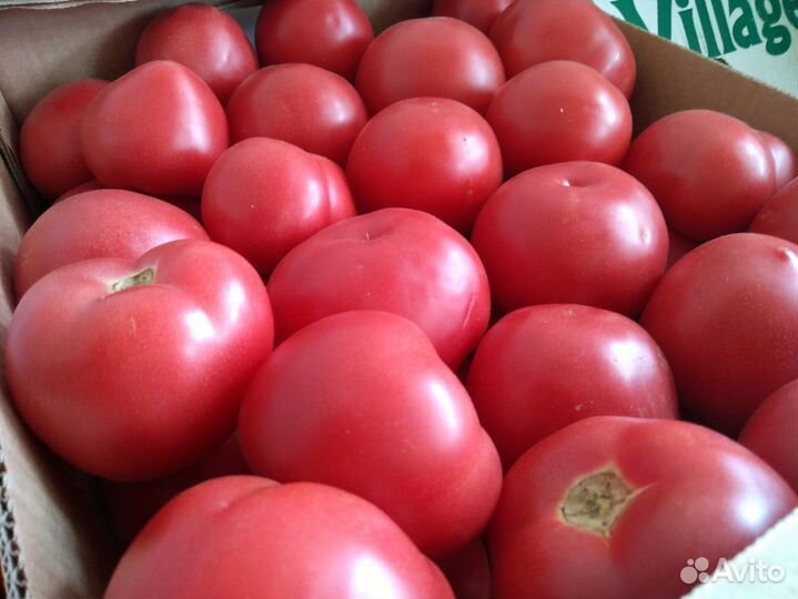 Доставка овощей