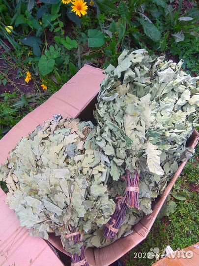 Банные веники