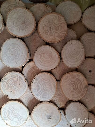 Спилы дерева для творчества и декора
