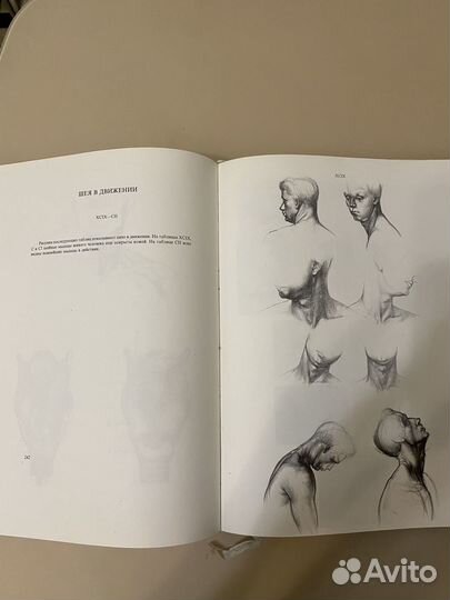 Анатомия для художников Енё Барчаи