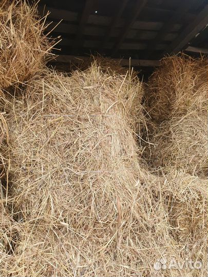Сено в кипах
