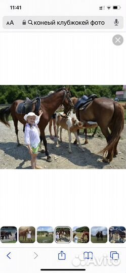 Конные прогулки в горах