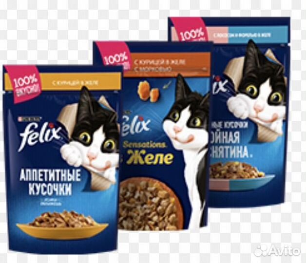 Корм для кошек