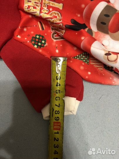 Одежда для мини йорка