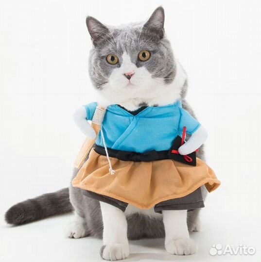 Соб20. Карнавальный костюм для животных