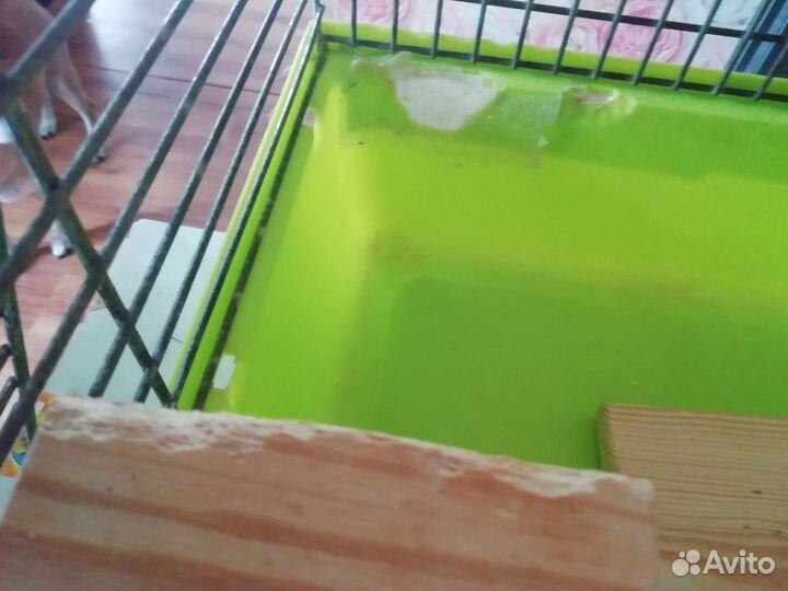 Клетка для грызунов