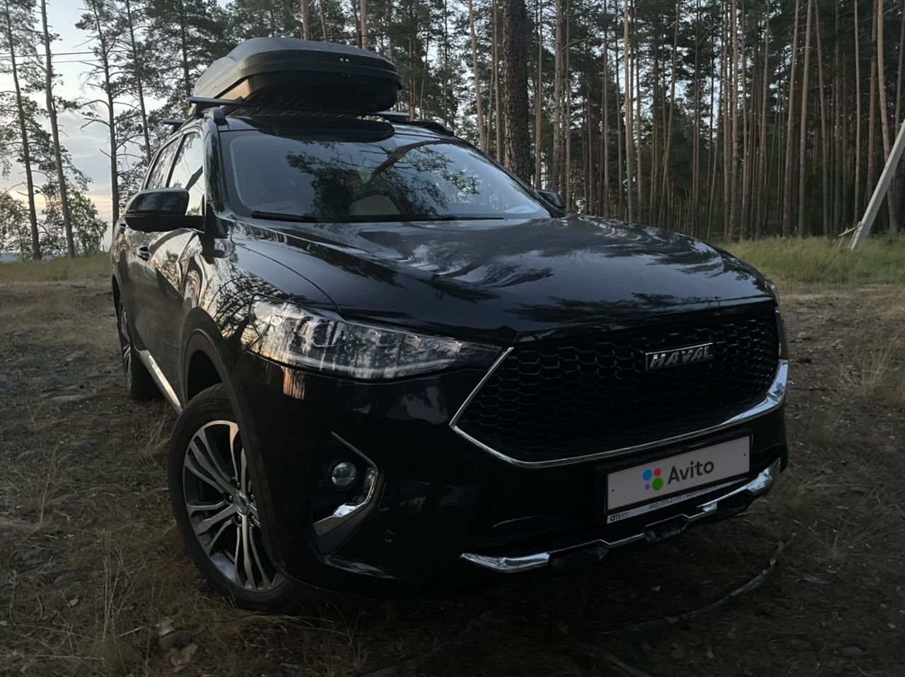 HAVAL F7: фото владельца