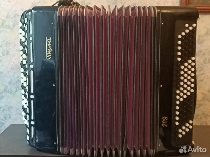 Баян Тула 209