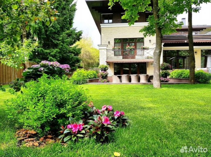 Газон под ключ. Озеленение участка