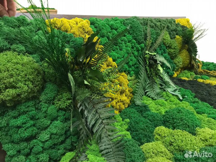 Панели, панно из стабилизированного мха