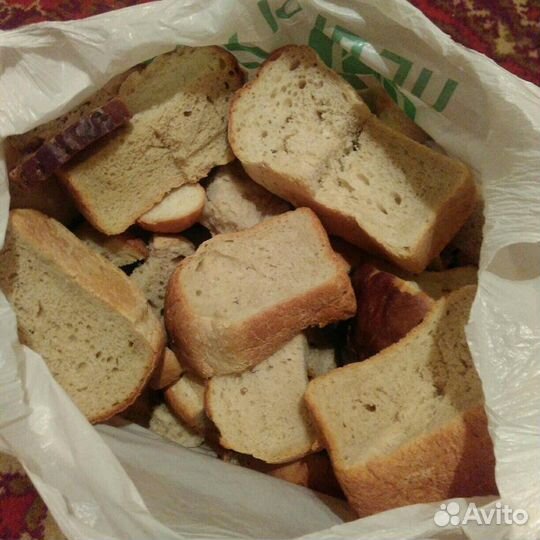 Хлеб на корм животным