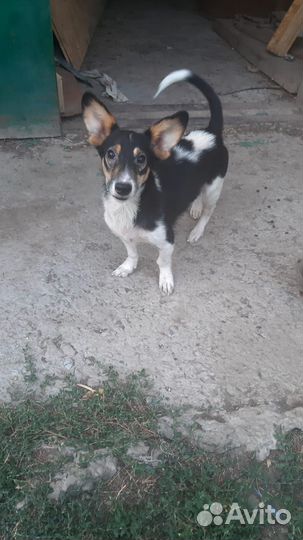 Молодой мальчик