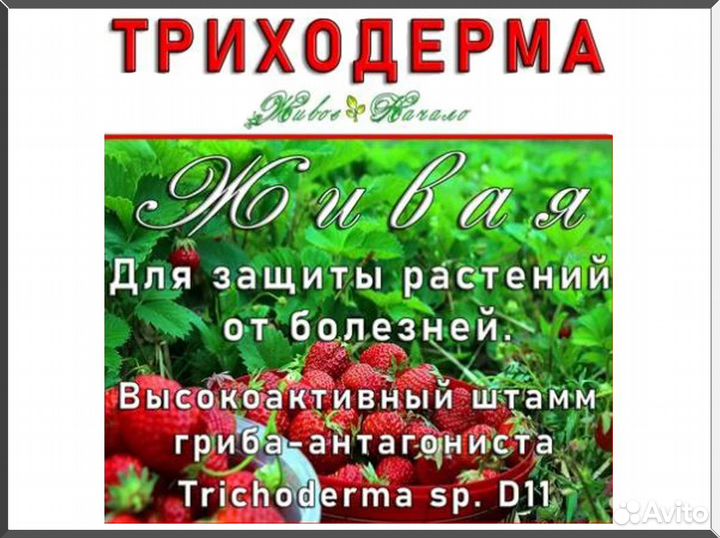 Триходерма - для защиты растений от болезней
