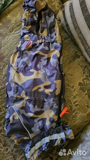 Комбинезон зимний для таксы ForMyDogs