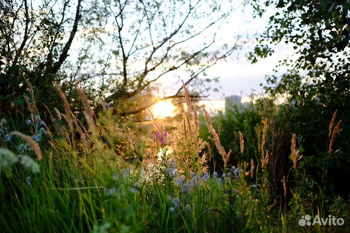 Объектив fujifilm