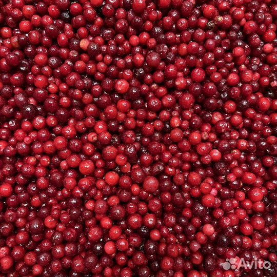 Брусника Россия шоковая заморозка