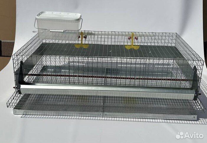 Клетка для 50 перепелов