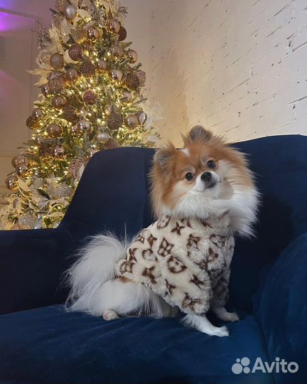 Шуба для собак