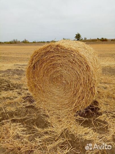 Солома в рулонах