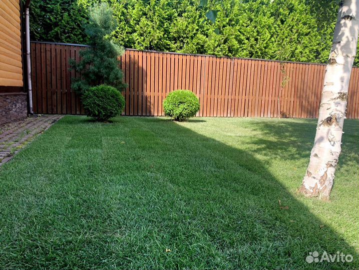 Рулонный газон