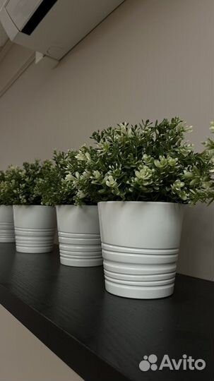 Декоративный куст в горшке IKEA