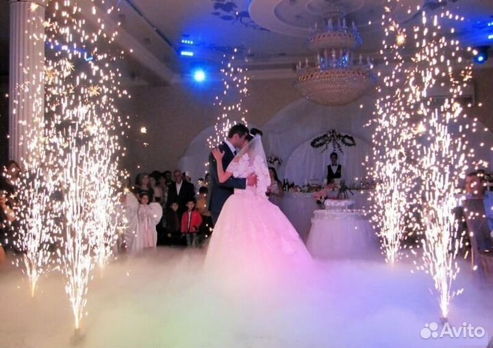 Ведущая Свадьбы Юбилеи Новый Год Дед Мороз Музыка