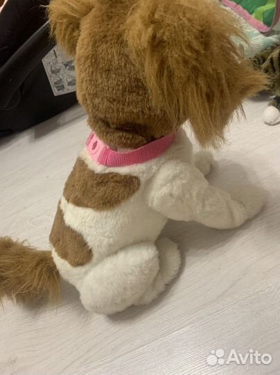 Интерактивная собака