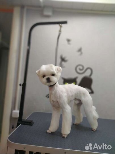 Стрижка собак и кошек