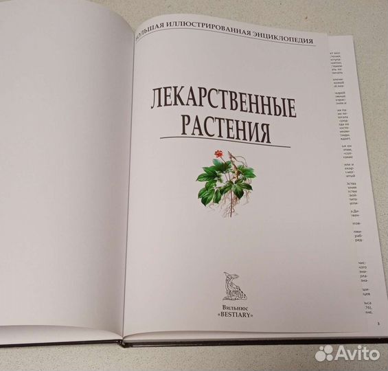 Большая энциклопедия лекарственных растений