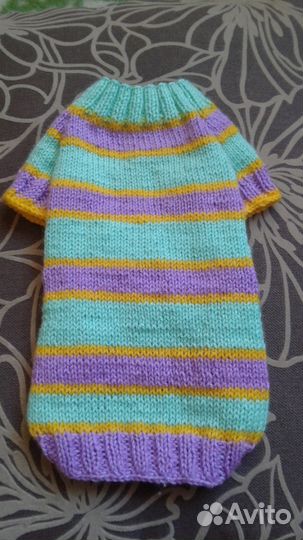 Одежда для сфинкса, девон рекса. Новое