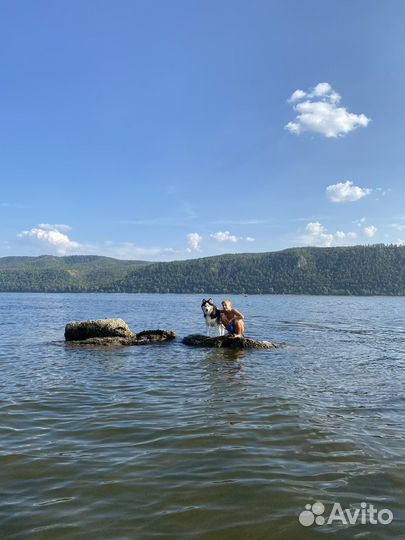 Отдых на Волге